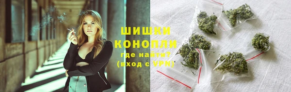 ПСИЛОЦИБИНОВЫЕ ГРИБЫ Богданович