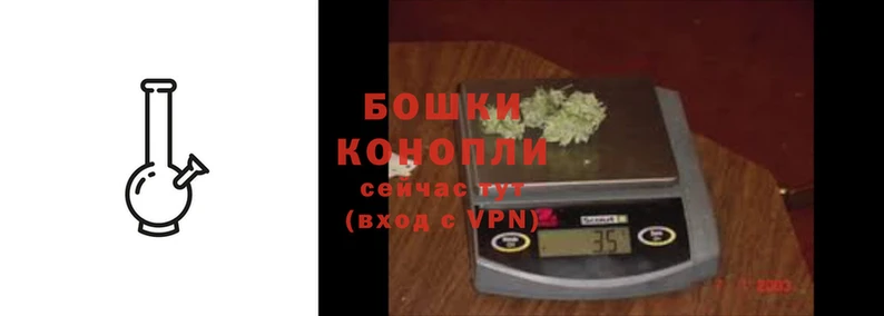 молекула духа Волосово