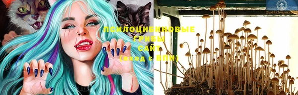 молекула духа Бугульма