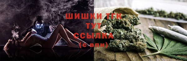 молекула духа Волосово