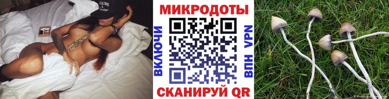 продажа наркотиков  Калининск  Галлюциногенные грибы прущие грибы 